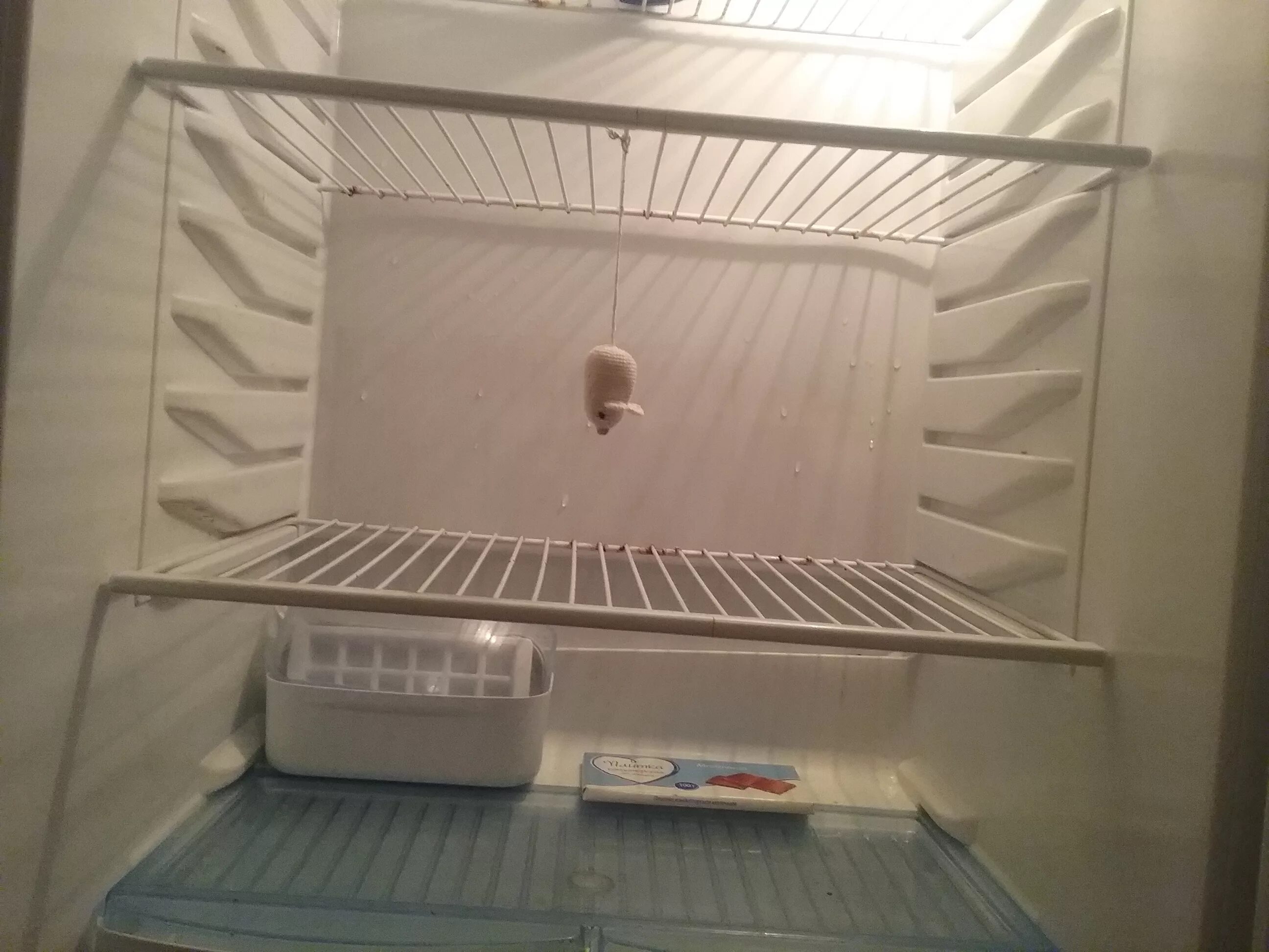 Пустой холодильник. Мышь в холодильнике. Пустой холодильник мышь повесилась. Мышь в пустом холодильнике.