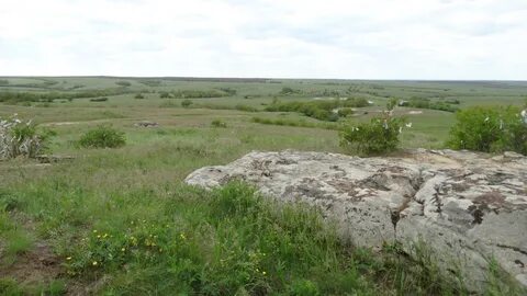 Волгоградская область суровикинский районный