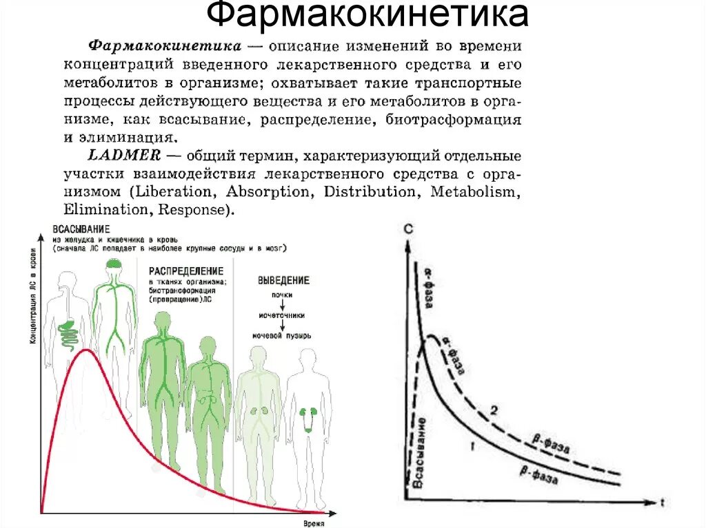 Фармакокинетическая кривая лекарственных средств. Фармакокинетическая характеристика путей введения. Фармакокинетика распределение лекарственных средств. Фармакокинетика всасывание распределение. Время достижения максимальной