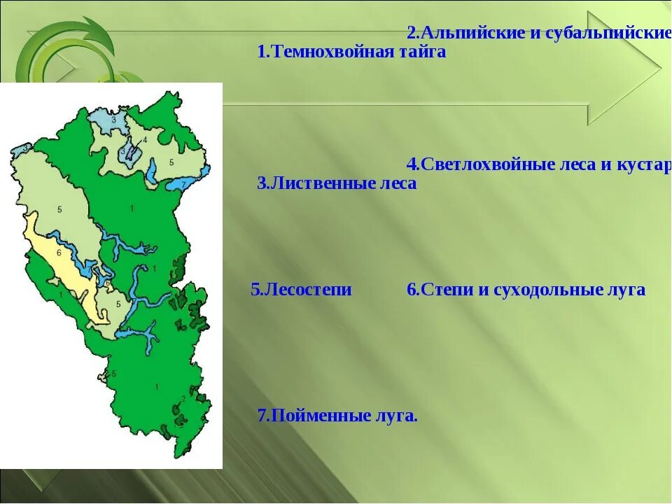 Кузбасс какая природная зона. Природные зоны Кузбасса. Карта природных зон Кемеровской области. Природные зоны Кемеровской области 4 класс. Темнохвойная Тайга Кемеровской области.