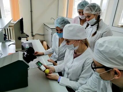 Экспертиза сэс