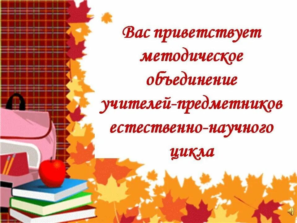 Работа методического объединения школы. Школьное методическое объединение. Папка методического объединения. Школьные методические объединения учителей предметников. План методического объединения.