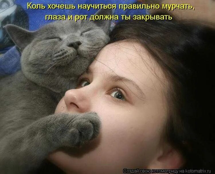 Хочу кота. Кот тихо. Кот мурлычет. Молчаливый кот. Таня хозяйка кота мурзика