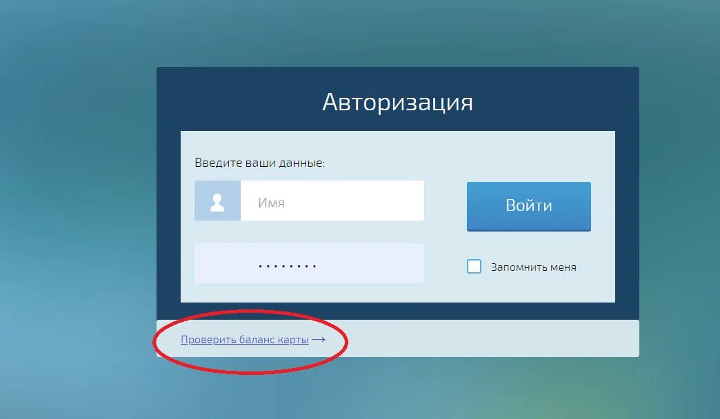 Баланс питания 58. Баланс школьной карты питания. Баланс карты питания школьника. Проверка карты питания. Проверка школьной карты питания.