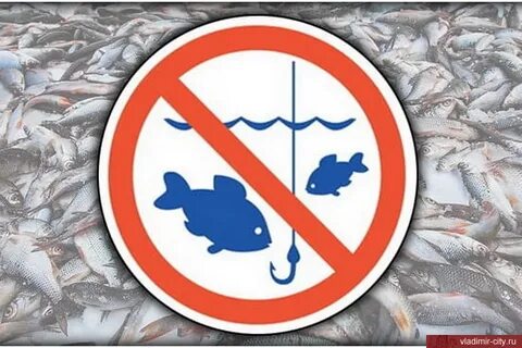 Где можно ловить рыбу во время запрета