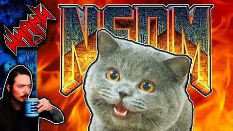 Zippocat video