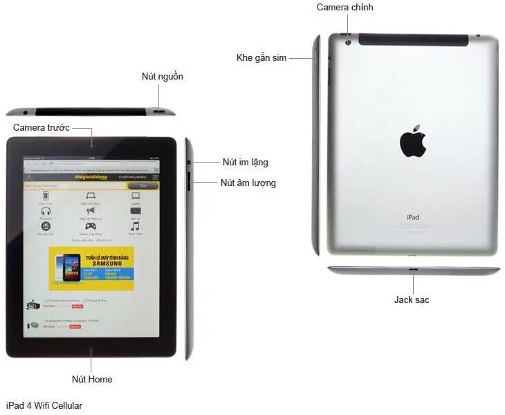 Apple ipad 4 wi fi. IPAD 4 характеристики. Какой айпад лучше Cellular WIFI или WIFI. 1tb Wi-Fi+Cellular Silver что обозначает.