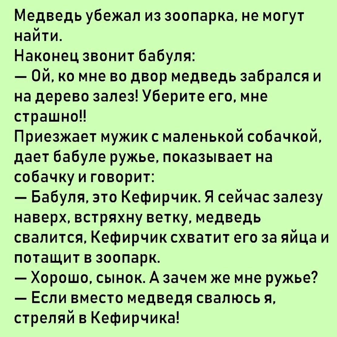 Анекдот про медведя. Анекдоты про мишку. Анекдот про кефирчика. Анекдот про кефирчика и медведя. Анекдоты зоопарк