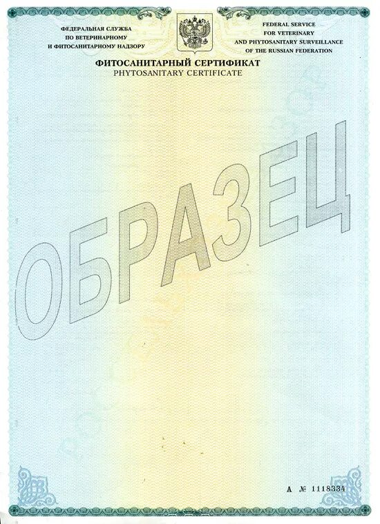 Мой экспорт фитосанитарный сертификат. Фитосанитарный сертификат. Сертификат фитосанитарного контроля. Карантинный фитосанитарный сертификат. Российский фитосанитарный сертификат.