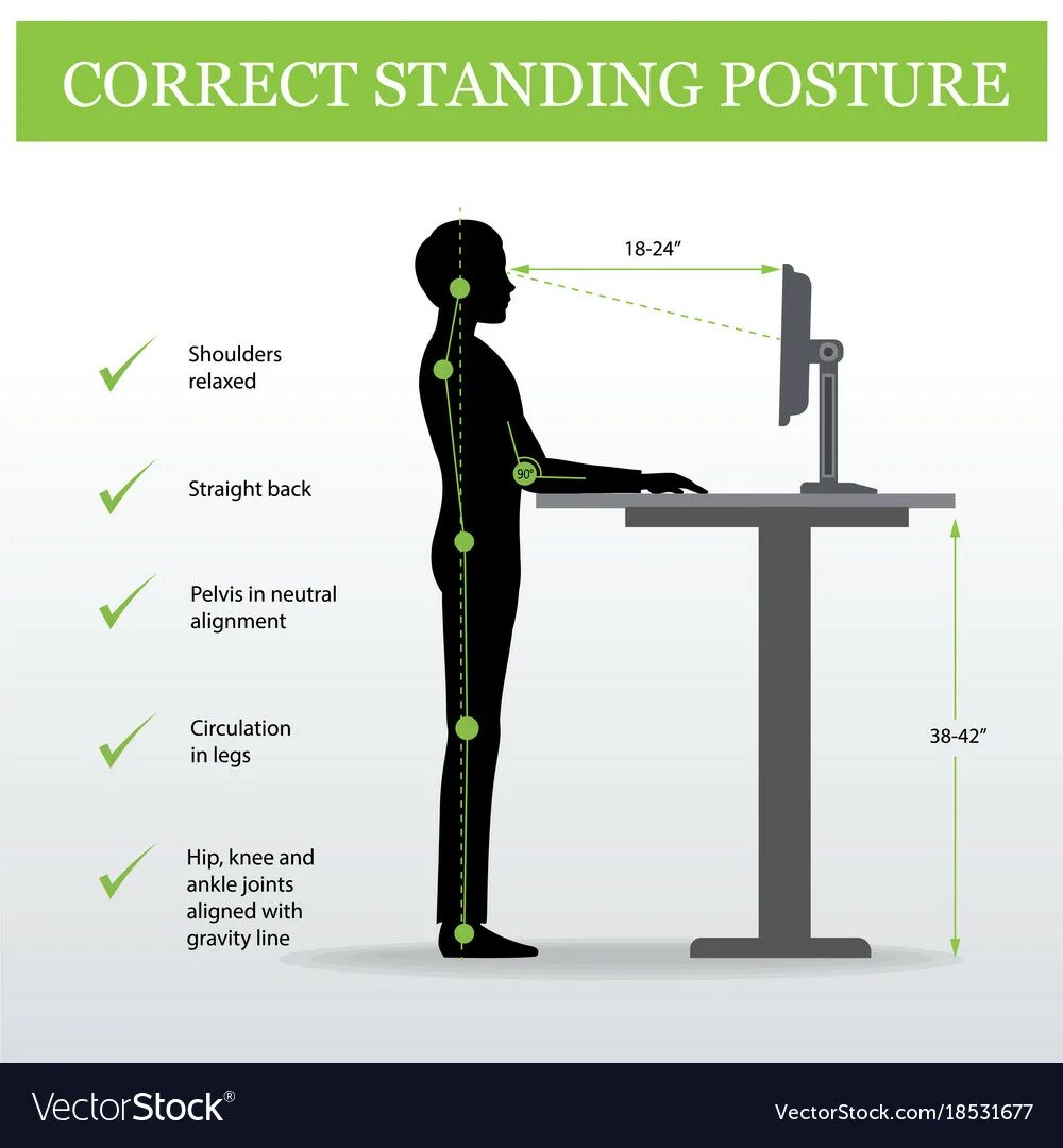 Стенд для работы стоя. Высота стоячего стола. Высота монитора для работы стоя. Компьютерный стол для работы стоя.