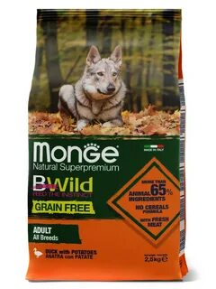 Monge bwild