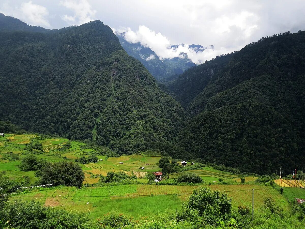 Бутан Гималаи. Бутан горы Гималаи. Национальный парк Джигме Дорджи бутан. Непал и бутан.