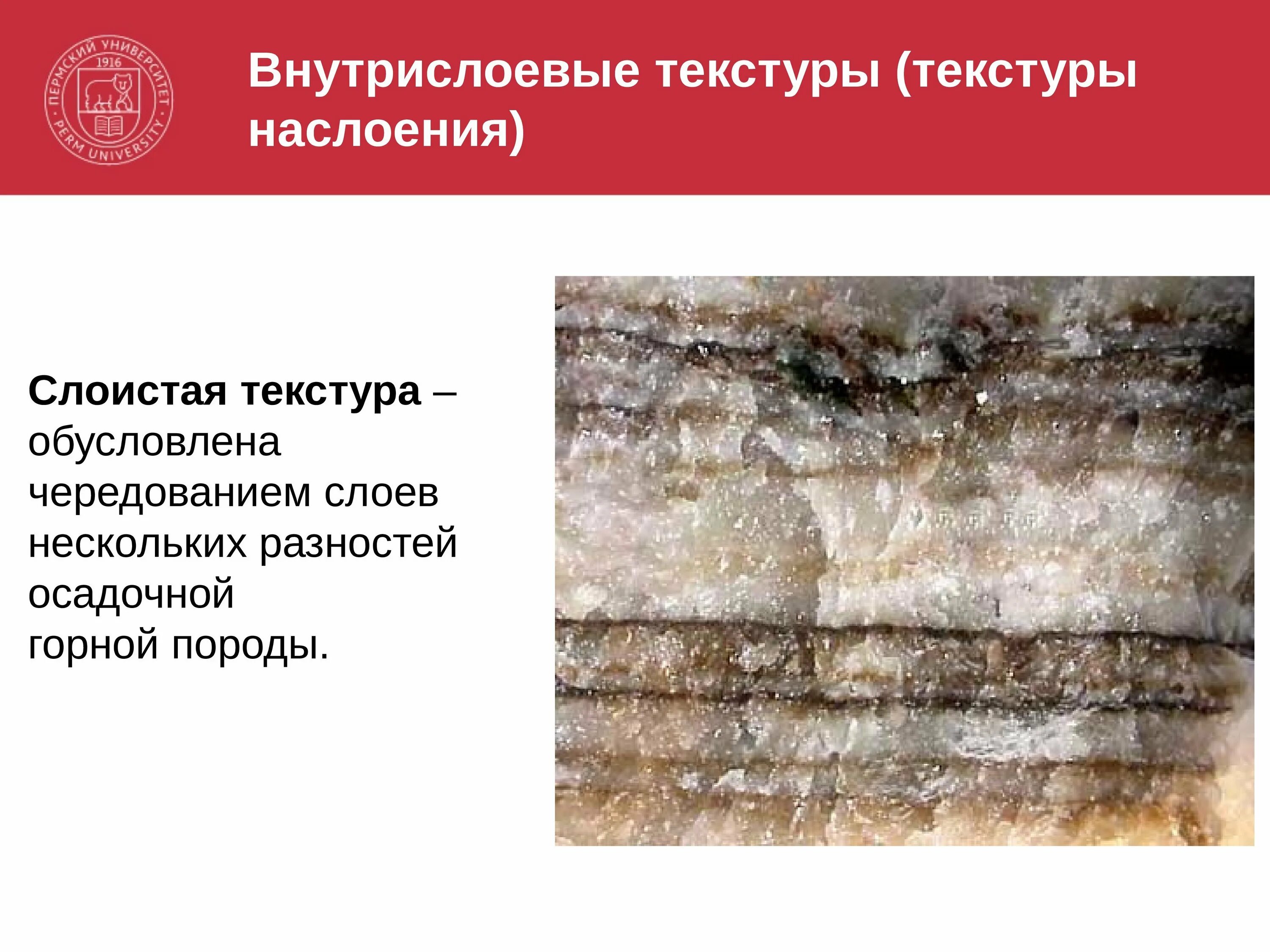 Структура осадочных горных. Слоистость осадочных горных пород. структуры и текстуры осадочных горных пород. текстура и структура осадочных пород. слоистые текстуры осадочных пород.