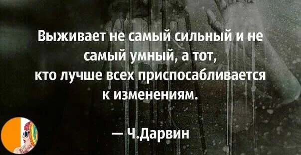 Выживает не самый сильный и умный. Выжить цитаты. выживает сильнейший цитаты. высказывания о выживании. фразы про выживание.