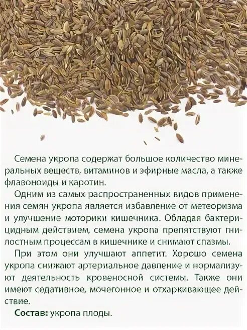 От чего семена укропа помогают взрослым. Укроп семена. Семена укропа и плоды укропа. Семена укропа польза. Виды семян укропа.