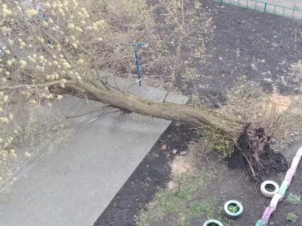Упала во дворе