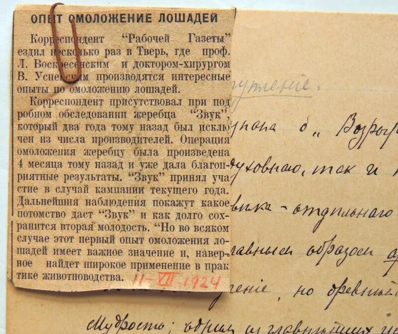 рукопись собачьего сердца. рукопись булгакова собачье сердце. и булгакова черновики черновики мастер маргарита. собачье сердце рукопись. михаил булгаков рукописи.