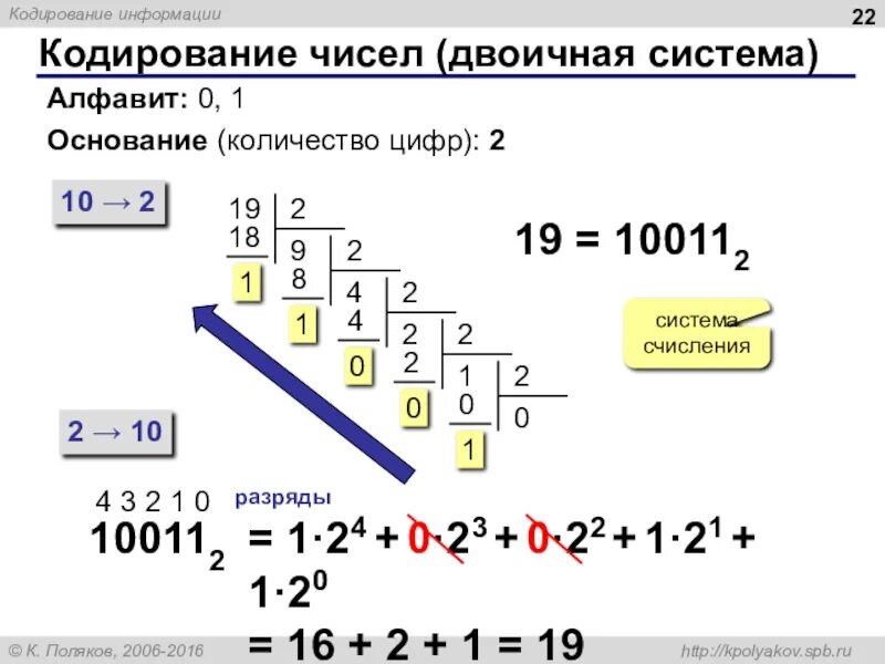 Кодирование чисел c. Кодирование чисел двоичная система. как закодировать число в двоичной системе. степени двоичной системы. кодировка чисел в двоичной системе счисления.