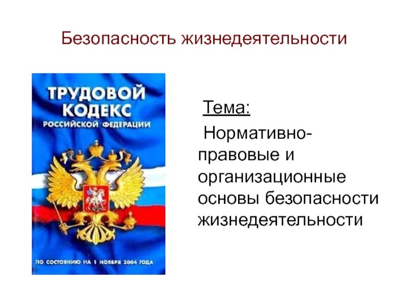 Конституционно правовая безопасность. Правовые основы безопасности. Правовые основы безопасности жизнедеятельности. Правовые основы БЖД. Организационные основы безопасности жизнедеятельности.