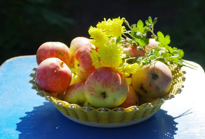 август фото. щедрость лета. август фото. о доброте. натюрморт с малиной.