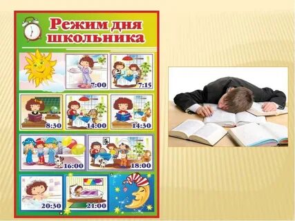 Режим дня школьника гигиена