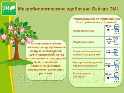 Байкал м осенью