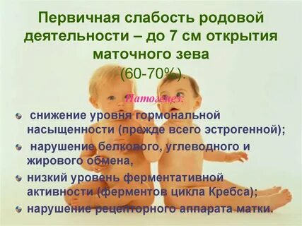 Выбор рода деятельности