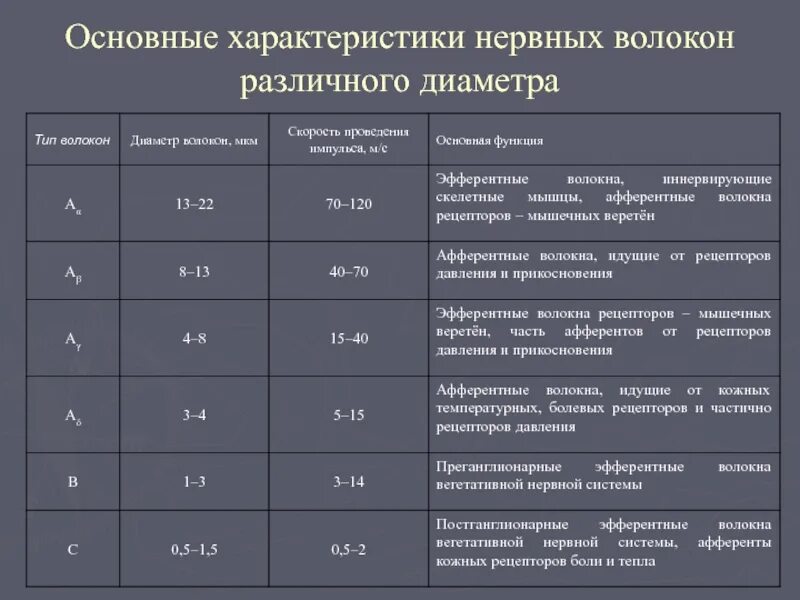 Типы нервных волокон физиология. Строение периферических нервных волокон. Функции нервных волокон. Соматическая нервная система ганглиев. Ганглии вегетативной нервной системы.