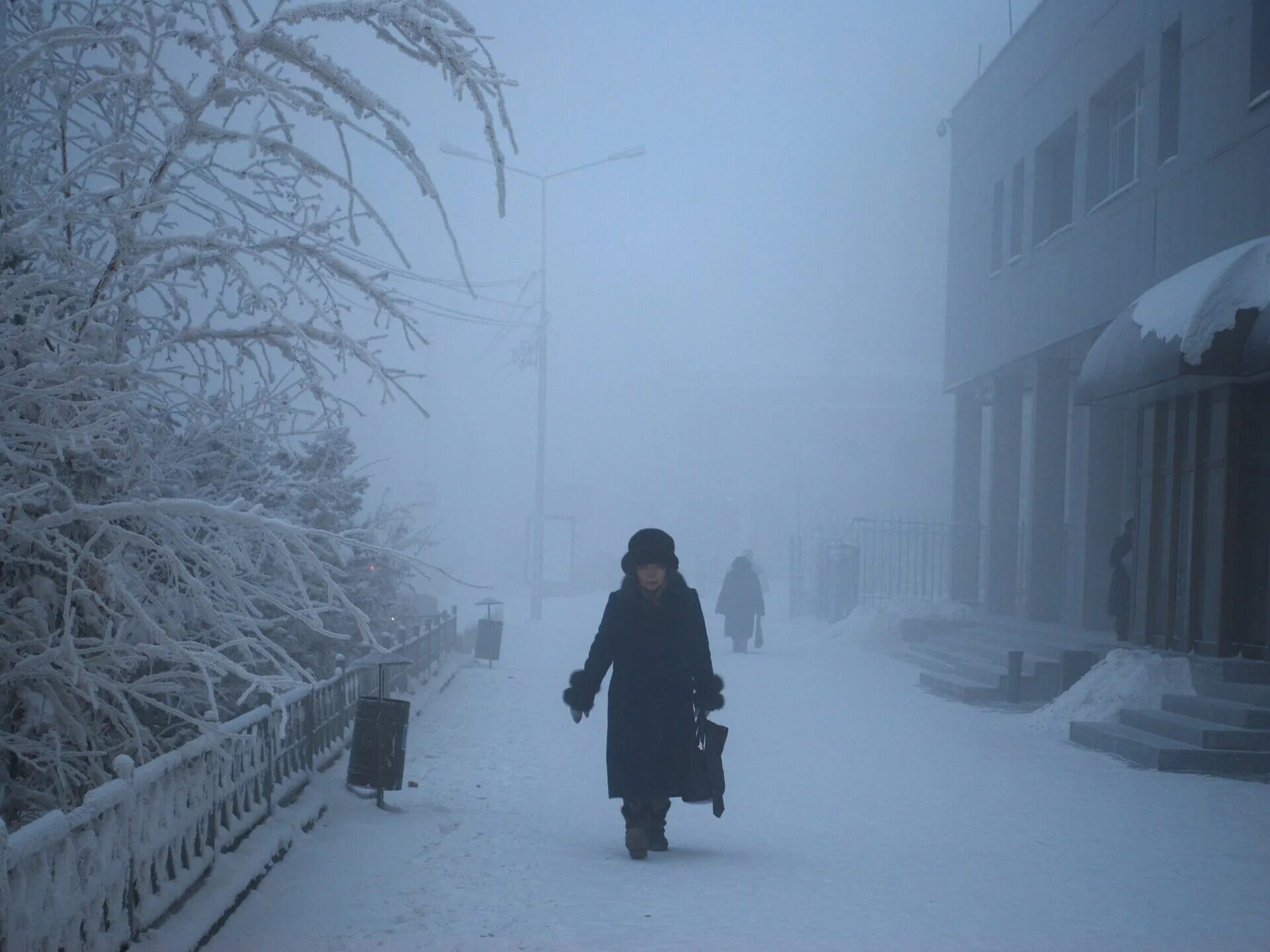 Холодная зима. Холодная зима в России. Туман зимой в городе. Суровая зима. Холодно в городе без тебя