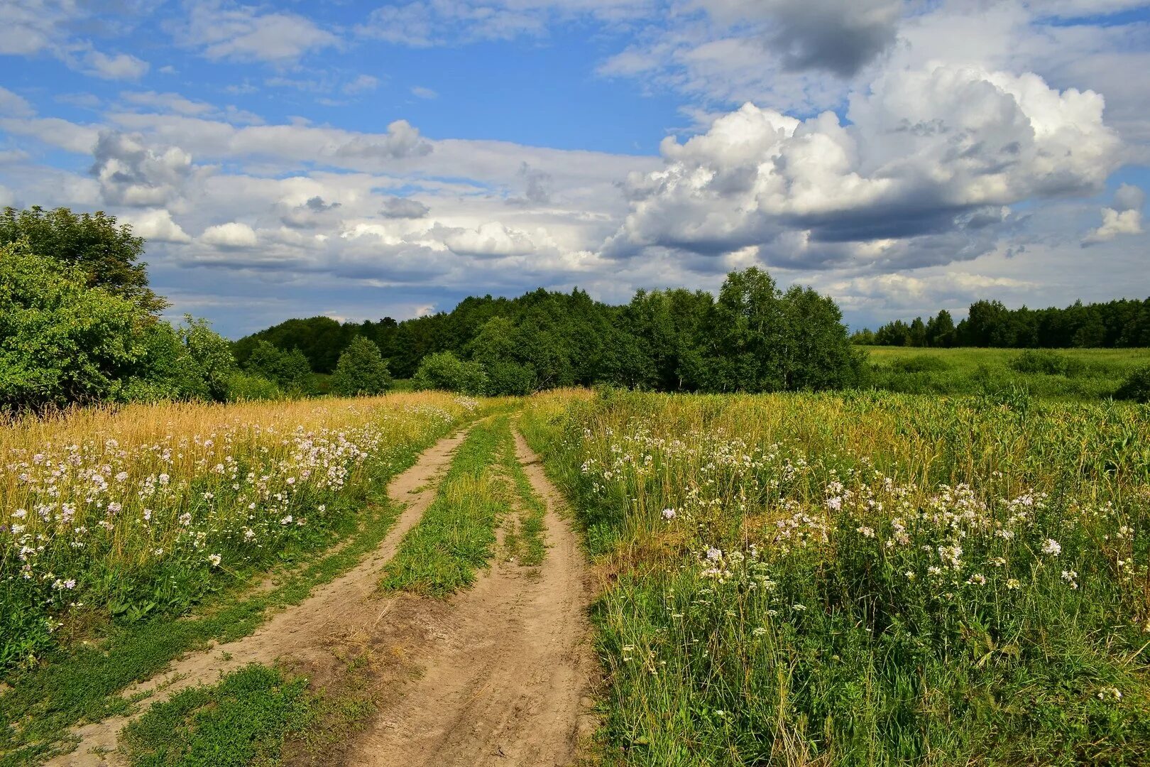 Родные просторы природа родного села. Родные просторы России. Родные просторы деревня. Родные просторы России пейзаж.