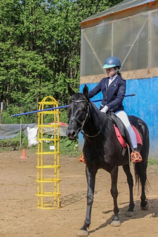Кросс конный спорт. Московский поло клуб целеево. Верховая езда школа в британии. Место для проведения конных. Олимпийские игры в древности гонки на колесницах.