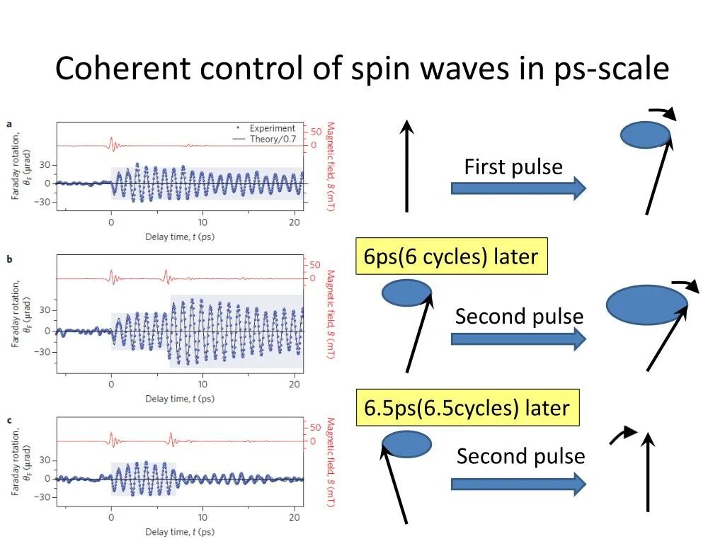 Coherent Waves. Spin Waves. Coherent Россия. Когерент прибор.