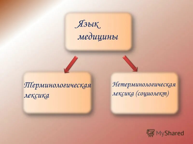 Терминологическая лексика языка. Медицинская лексика. Русский язык в медицине. Медицинская терминологическая лексика презентация. Язык и медицина темы.