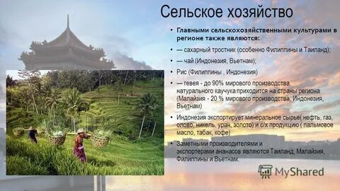 Особенности хозяйства стран юго восточной азии