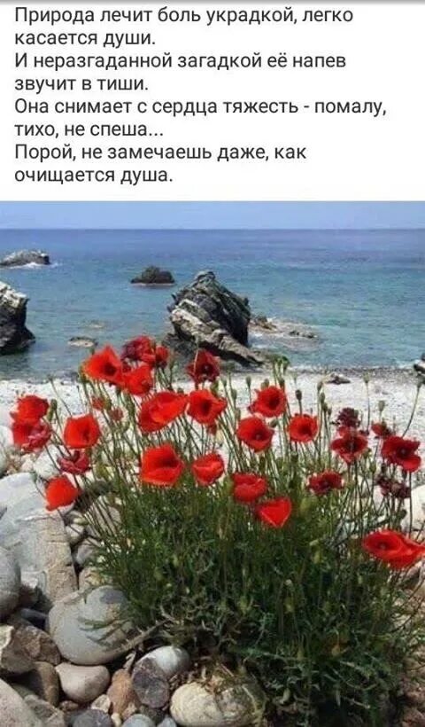 Природа лечит людей. Природа лечит людей