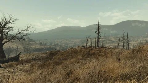 Še vedno pa je tudi v izdelavi MOD Fallout The Caital Wasteland. 