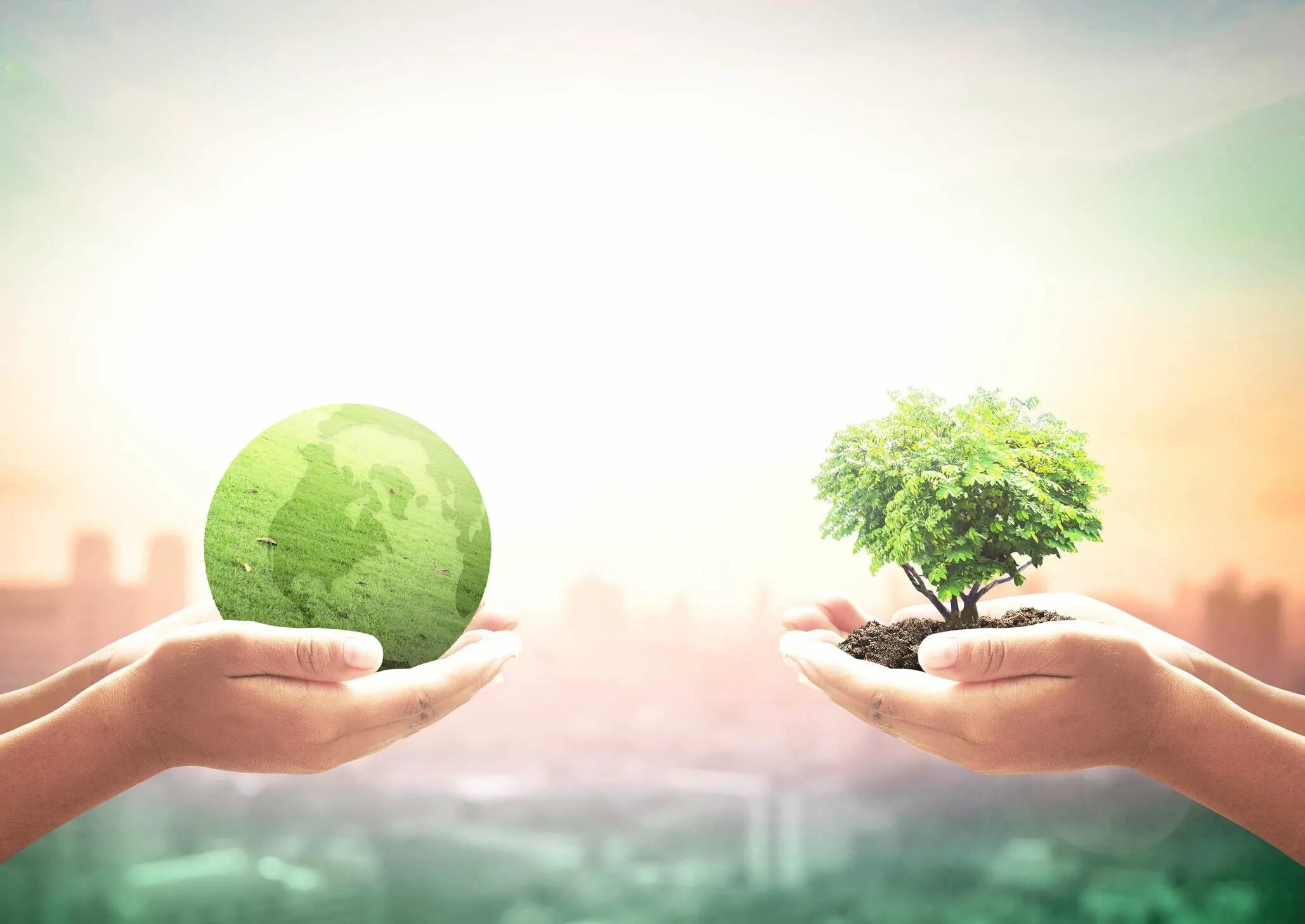Conference series earth and environmental science