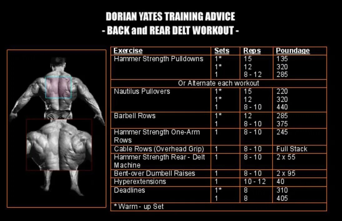 Программа мышцы. Сплит тренировки Дориана Ятса. Дориан Ятс план тренировок. Схема тренировок Дориана Ятса. Дориан Йейтс тренировочный план.