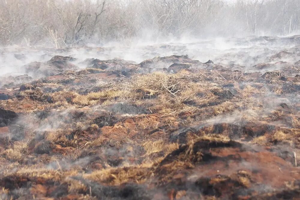 При каком виде пожара горит торфяной слой. Лесные и торфяные пожары. подземный торфяной пожар. торфяные пожары самовозгорание. почвенно-торфяные природные пожары.