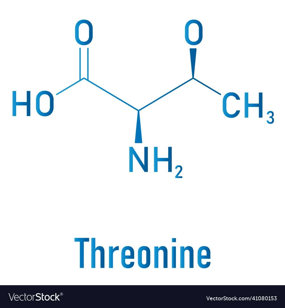 Треонин формула. Треонин аминокислота. Треонин аминокислота формула. Треонин строение. Треонин это