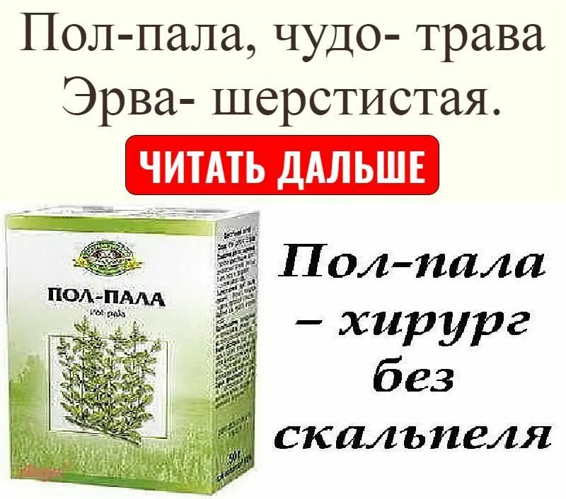 Пол пала цены. Эрва шерстистая (пол-пала) трава 50г. Пол-пала трава эрвы шерстистой показания. Эрва (пол-пола) трава 30г Красногорсклексредства. Эрва шерстистая (пол-пала) трава 30г Красногорск.