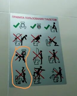 Как пользоваться туалетом