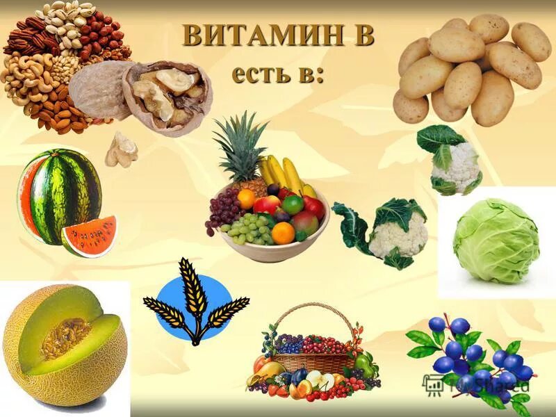 Фрукты витамина b. Что такое витамины. Витамин б. Продукты с витамином б. Витамины в продуктах.