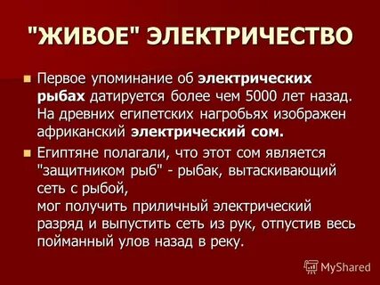 Живое электричество