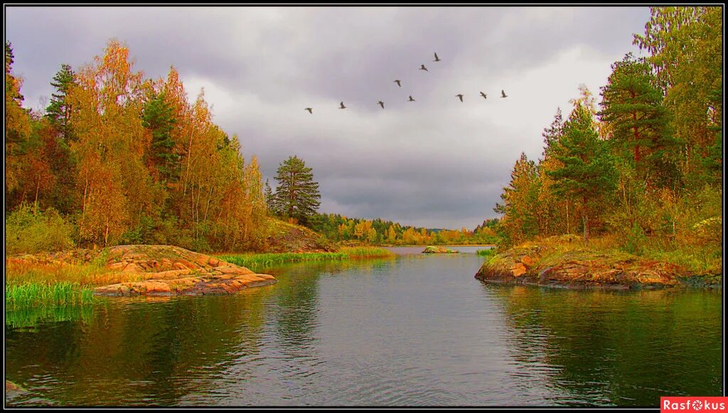 Природа северо запада района. Река Онега осень. Озеро Пелусозеро Карелия. Карельские пейзажи. Карелия осенью.