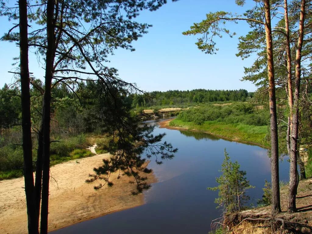 Рязанская мещера. Река пра Мещера. Река пра Рязанская область. Пра река Рязань. Национальный парк Мещерский река пра.