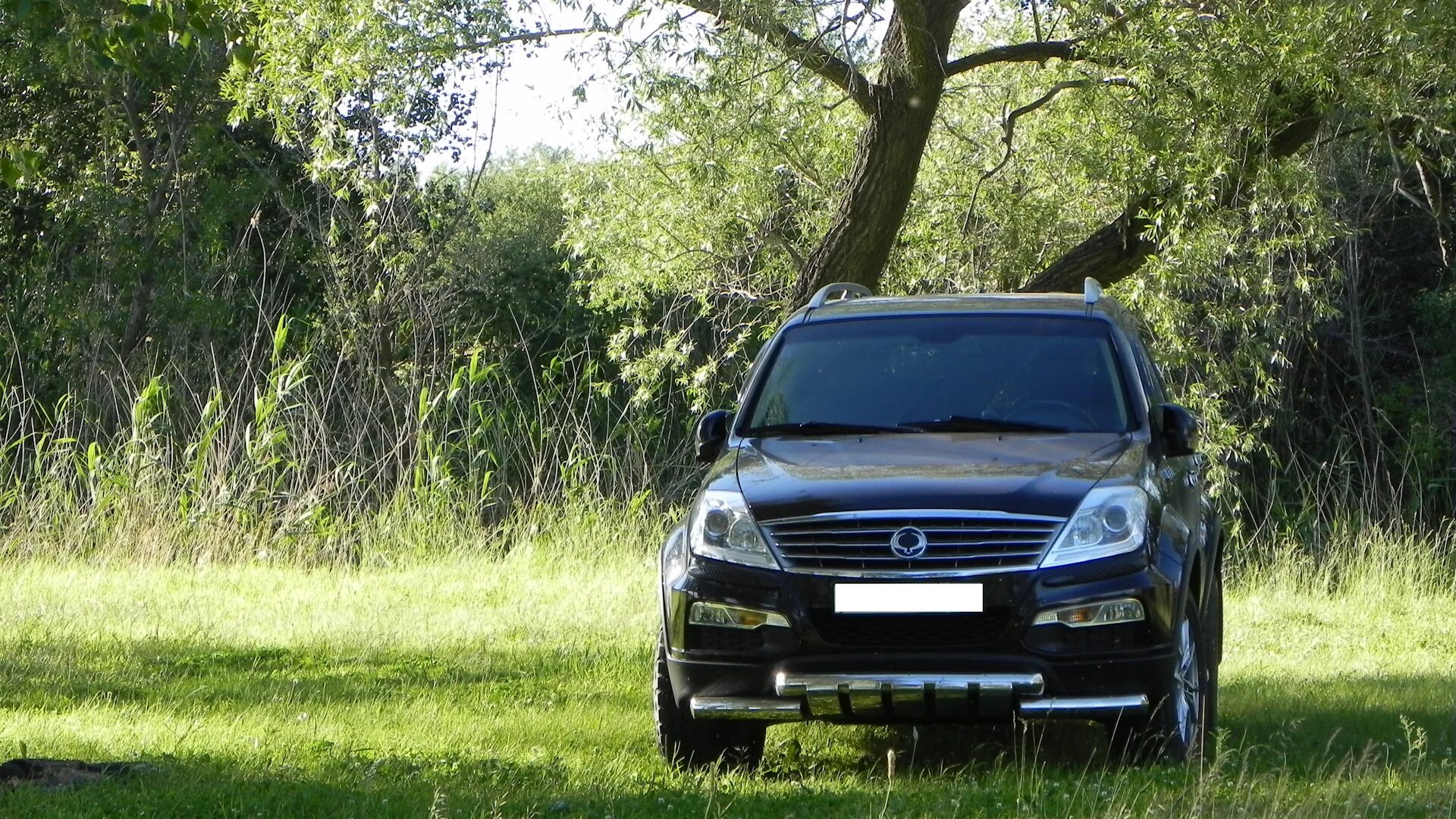Ssangyong rexton номера. Ssangyong rexton w. рекстон 2 поколения. ssangyong rexton (02-. санг йонг рекстон 2013.