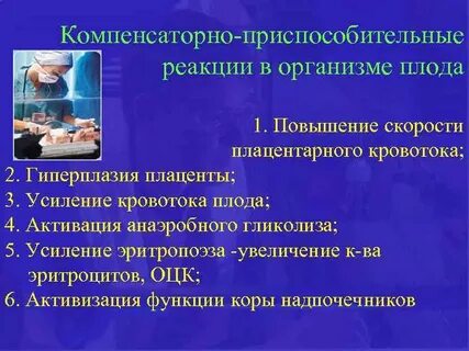 Приспособительные механизмы организма