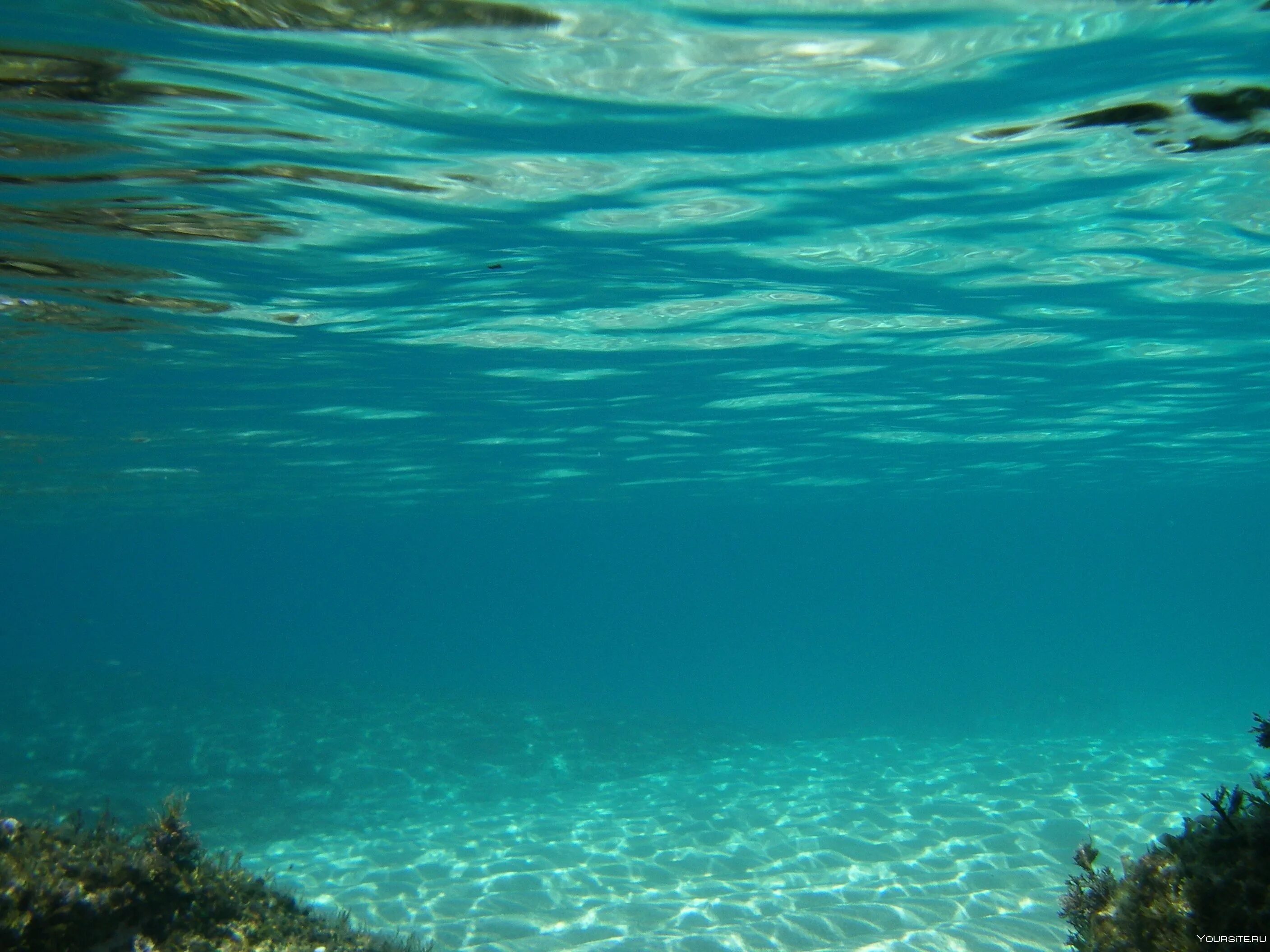 Верхние толщи воды. Море под водой. Морское дно. Дно океана. Океан под водой.