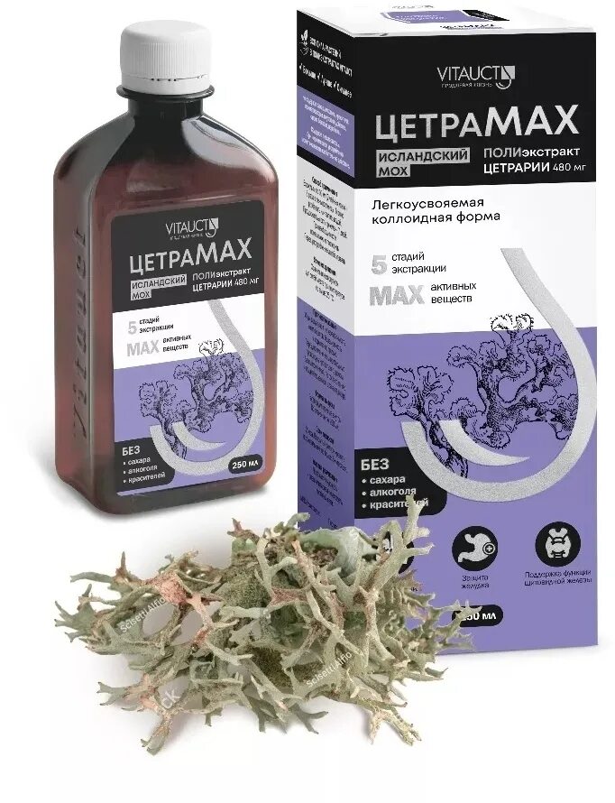 Экстракт исландского мха цетрарии исландской. Настой исландского мха. Исландика биологически активная добавка. Настойка цетрарии исландской. Экстракт исландского мха.